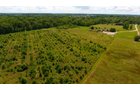 Property photo 19 - REAL ESTATE AUCTION - 26+/- ACRES IN 3 TRACTS IN SOUTHWEST ALLEN COUNTY, INDIANA